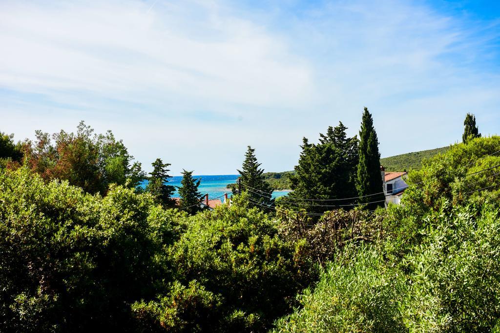 Apartments Mrva Ugljan Εξωτερικό φωτογραφία